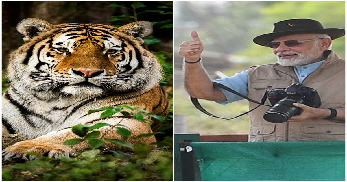 ಬಂಡೀಪುರಕ್ಕೆ ಮೋದಿ ಭೇಟಿ: ಏ.6ರಿಂದ 9ವರೆಗೂ ಸಫಾರಿ, ರೆಸಾರ್ಟ್ ಬಂದ್‌!