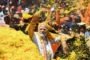 ಬೊಂಬೆಗಳ ನಾಡು ಚನ್ನಪಟ್ಟಣದಲ್ಲಿ ಮೋದಿ ಸಂಚಾರ